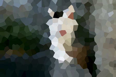 ḵ⴩ԽС˵ȫ-ḵ⴩ԽС˵ȫĶ
