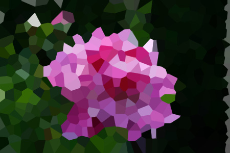 ʫС˵ȫĶ