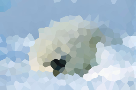ʢֻС˵ȫ-˾