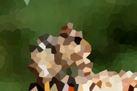 ¹Ů˰