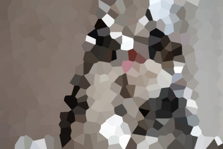 С˵ȫ-