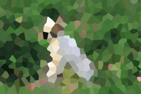 Ƽ¶-¶С˵ȫ