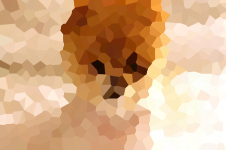 ǺС˵ȫĶ