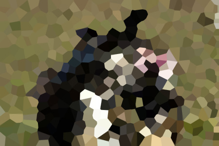 ʱȻͥһС˵ȫ-