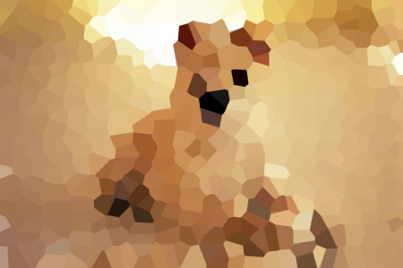С˵ȫҽҳƼ½