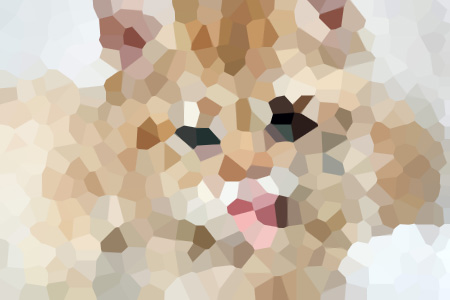 ĺϸС˵ȫ-ĺϸС˵ȫĶ