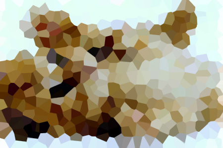 صǰշС˵ȫ걾Ķ