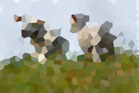 ǿƺ׳үүųСŮ-Ҷһͩ˾¹С˵ȫ