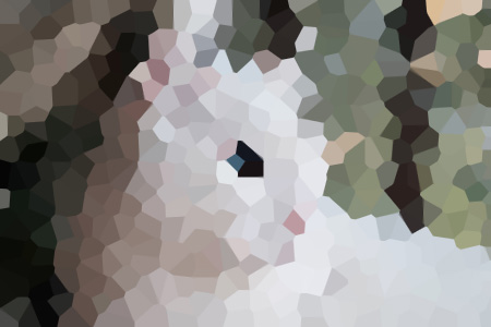 طƵС˵Ƽ