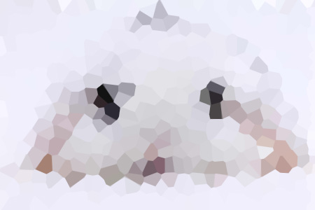 ̫ҪЩ˼С˵ȫƼ