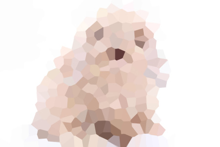 ҸС˵ȫ-ҹ鳾Ķ