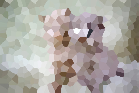 Ƽ-ĻĽݴС˵ȫ