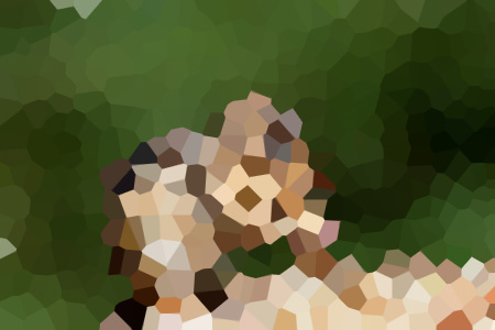 Ůѧ-ʨС˵ȫ