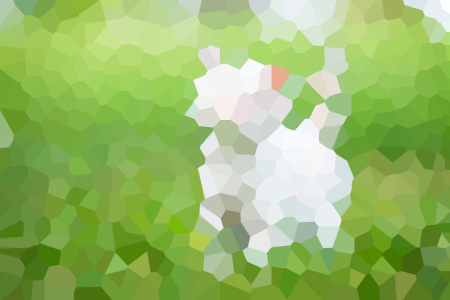 С˵ȫ-Ķ