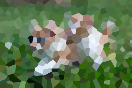 ݴ̲С˵ȫ걾Ķ