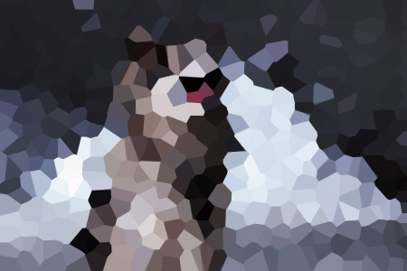 өͳ½С˵ȫĶ