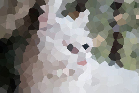żĽС˵ȫ-ĽĶ