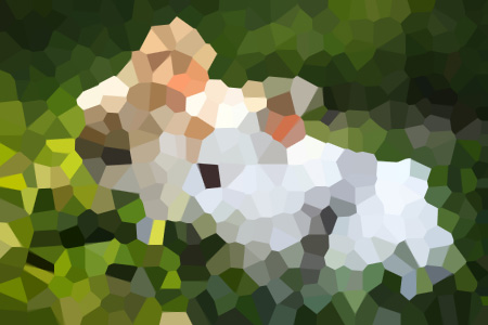 ͹˕F½ȼС˵ȫĶ