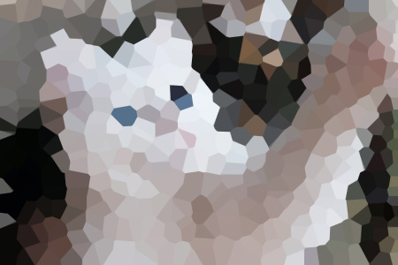 Ľݴ仨սƼ-Ľݴ仨С˵ȫ