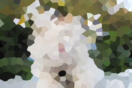 Ҷ½ĪС˵ȫĶ
