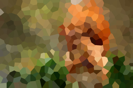 ·û˵ĻС˵Ķ