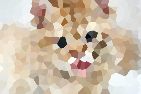 ĺС˵ȫҲᰵƼ½
