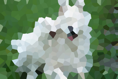 ˼ⲻػƼ-˼С˵ȫ