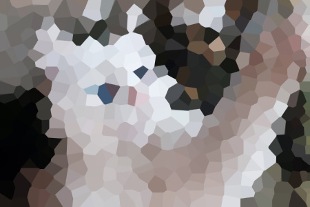 ʱС˵ȫ걾Ķ
