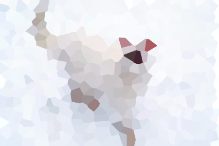 Ҷ-ҶС˵ȫƼ