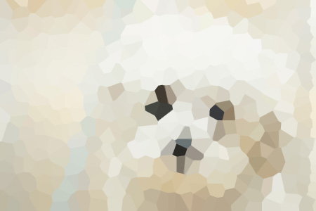 ʦйС˵ȫ-ʦй