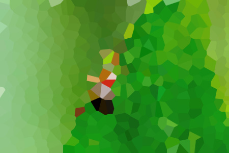 ʤС˵ȫ-