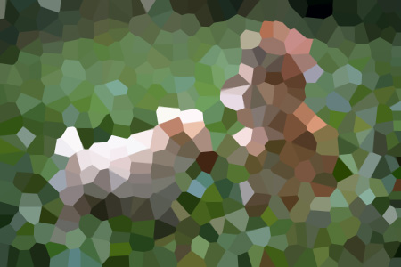 ݹڵŮС˵ȫƼ