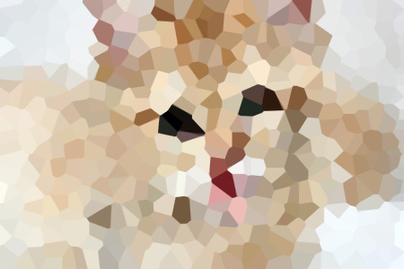 ǧ°ҹС˵Ƽ-ǧ°ҹ(ǧ°ҹ)걾ȫĶ