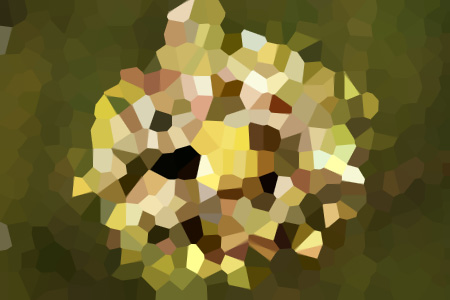 Ű׷С˵ȫ-