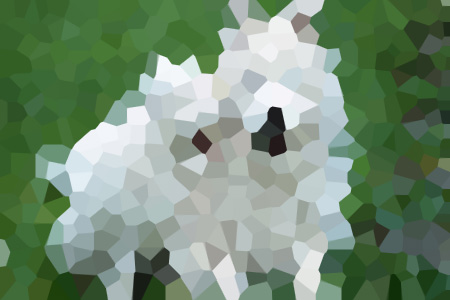 żۍoС˵ȫ-ۍoĶ
