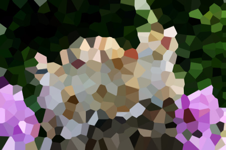 ҵɷС˵ȫ걾Ķ