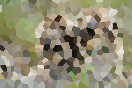 ޷նϵһС˵ȫ-޷նϵһС˵ȫĶ