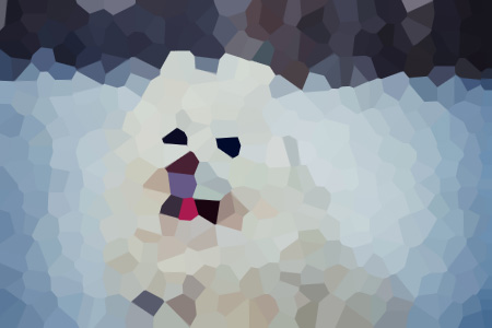 ǫС˵ȫĶ