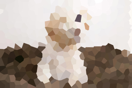 УݽС˵ȫ-½ةĶ