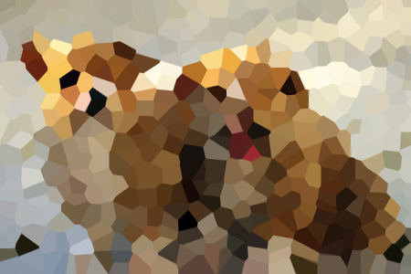 ҽС˵ȫҶݺĶ