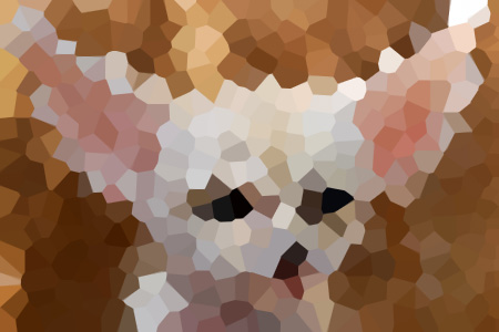 ʮ˼С˵ȫ걾Ķ