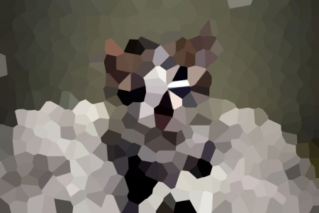 ϣҲȫŮ
