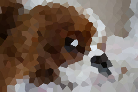 żɣС˵ȫ-ɣĶ