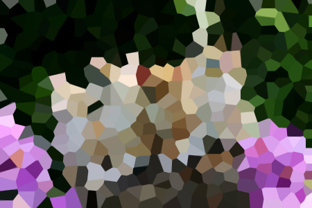 ǿƺ֮ɭ-ʬС˵ȫ